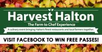 Harvest Halton