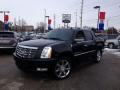 2010 CADILLAC Escalade EXT