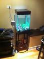 Unique fish tank with stand complete just add fish