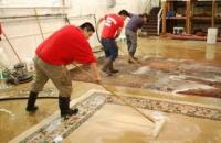 Area Rug Cleaning / Pick Up &amp; Delivery