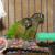Green Cheek Conures with Cage (32x24x68)