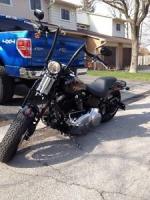 2008 custom crossbone for sale