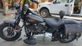 Harley Davidson Cross Bones - Customized