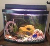 30 Gallon Bow Front Fish Tank