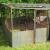 Animal Enclosure, Chickens, Poultry, Dogs